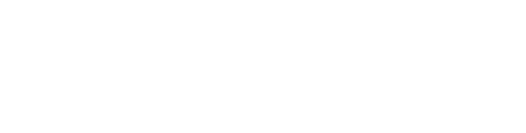 Locuci n profesional